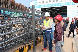 中建三局大洲湖∣市2019年市政工程質量安全現場觀摩會