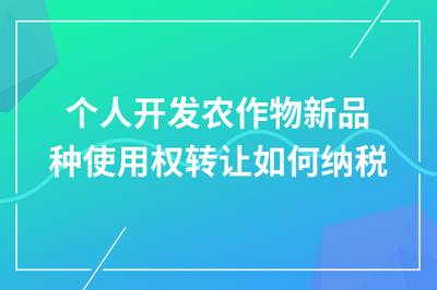 個人開發(fā)農(nóng)作物新品種使用權轉(zhuǎn)讓的稅務處理指南